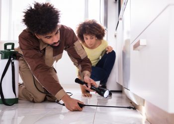 Do You Have a Pest Infestation Right Under Your Nose?