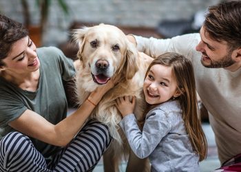 Pets Can Teach Kids Valuable Life Lessons