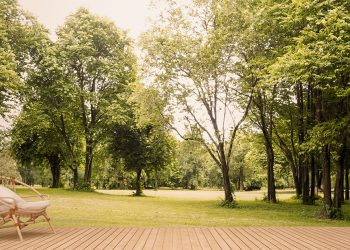 Backyard Upgrades to Spruce Up the Fun