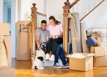 Create a Stress-Free Move for Your Pet