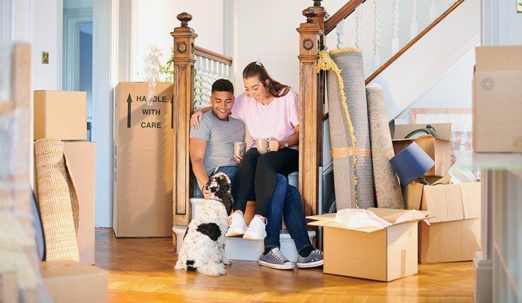 Create a Stress-Free Move for Your Pet