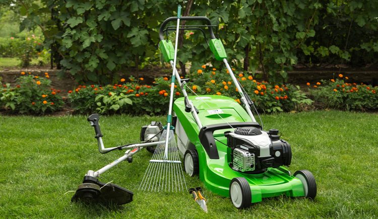 Caring for Your Backyard Tools and Equipment