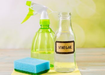 DIY Cleaning With White Vinegar