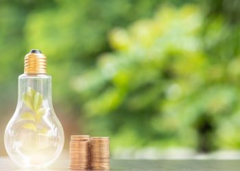 How Planting Trees Can Lower Your Energy Bills