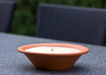 How to Keep Bugs Away From Your Patio This Summer