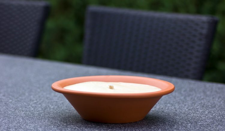 How to Keep Bugs Away From Your Patio This Summer