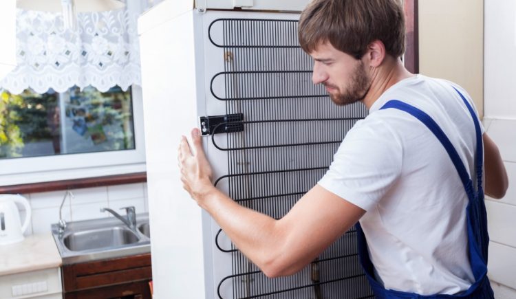 Why and How You Should Clean Your Refrigerator’s Coils