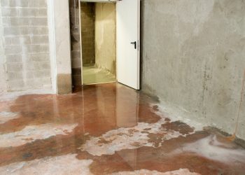 How to Deal With a Moisture Problem in Your Basement