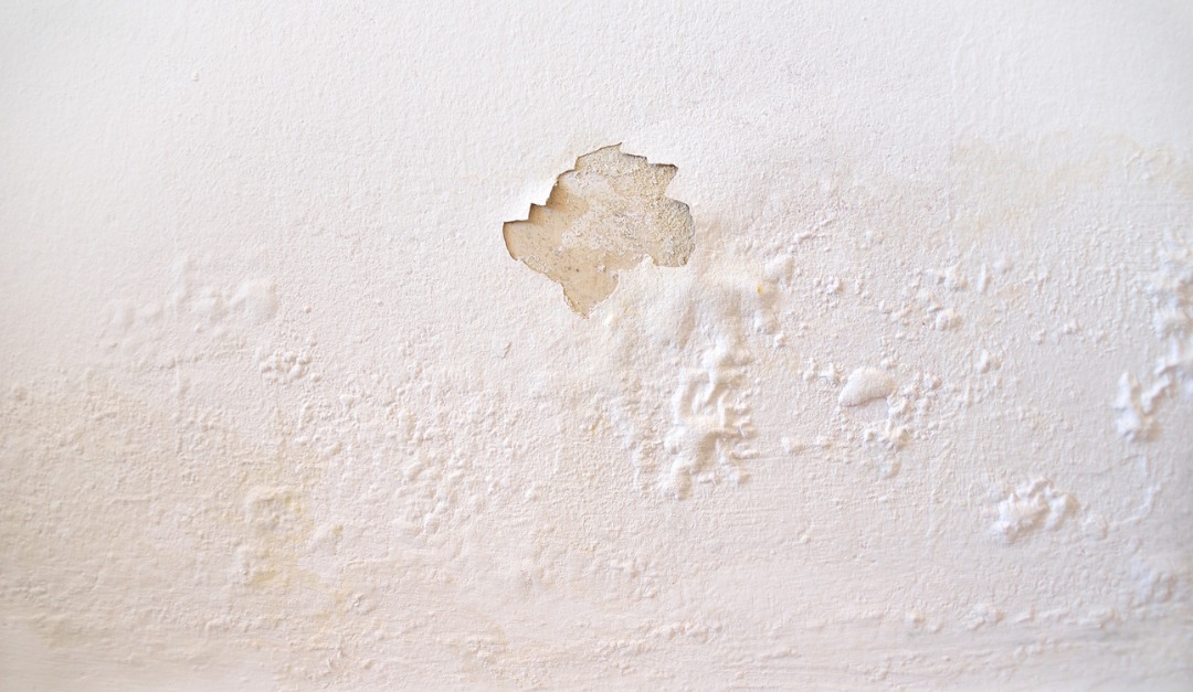 What is Wall Sweating? — RISMedia