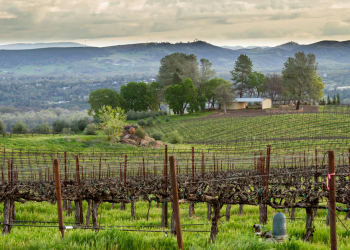 BHGRE® Wine Country Group Merges With Coldwell Banker Towne & Country Realty