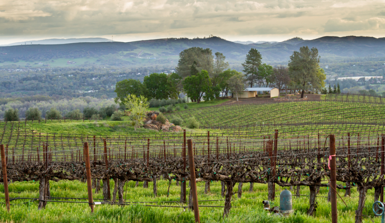 BHGRE® Wine Country Group Merges With Coldwell Banker Towne & Country Realty