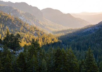 Corcoran Global Living Expands Into California’s Gold Country