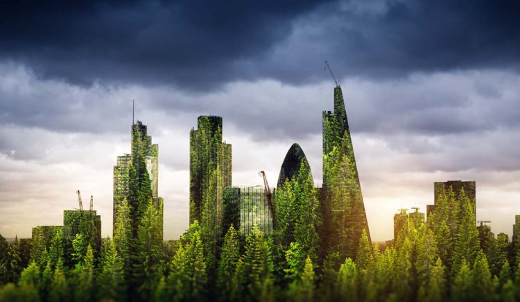 Green Certifications Becoming More Valuable in Commercial Real Estate