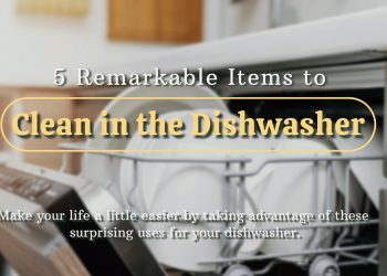 5 Remarkable Items to Clean in the Dishwasher