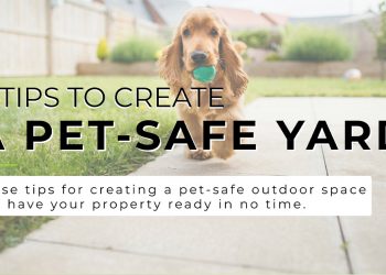4 Tips to Create a Pet-Safe Yard
