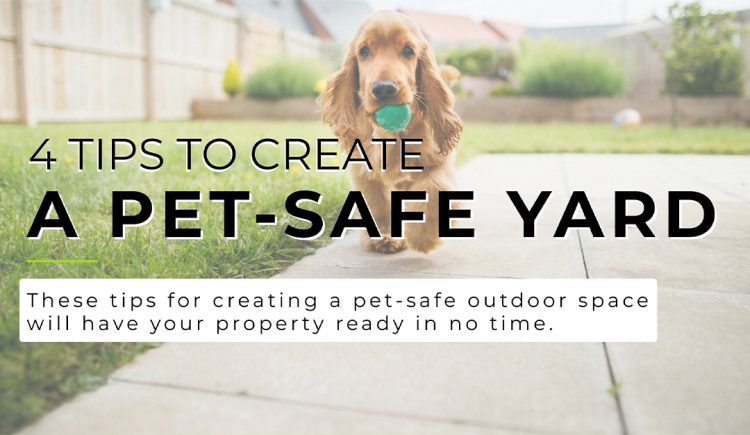 4 Tips to Create a Pet-Safe Yard