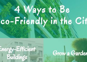 4 Ways to Be Eco-Friendly in the City