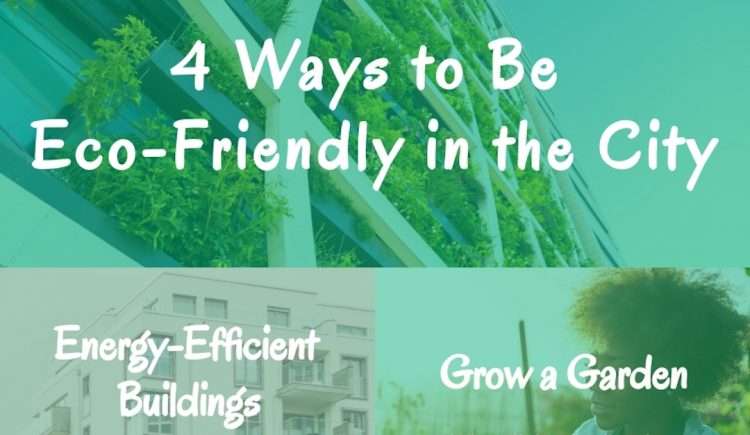 4 Ways to Be Eco-Friendly in the City
