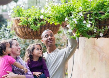 4 Perfect Plants for a Vertical Garden