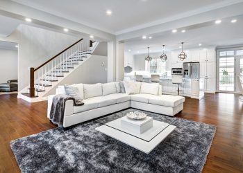 Innovative Furniture Leasing Company Feather Emerges Victorious From ‘Pitch Battle’