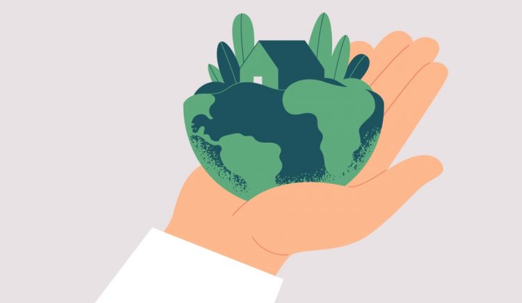 7 Easy Ways to Make Your Home More Sustainable