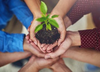 3 Ways to Scale to Mega-Team Growth