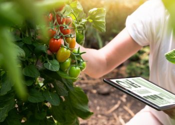 4 Smart Tech Musts for Home Gardeners