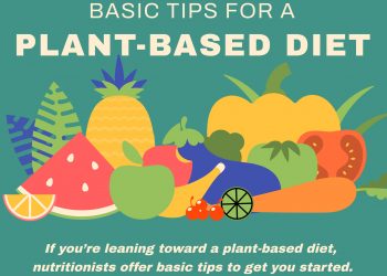 Basic Tips for a Plant-Based Diet
