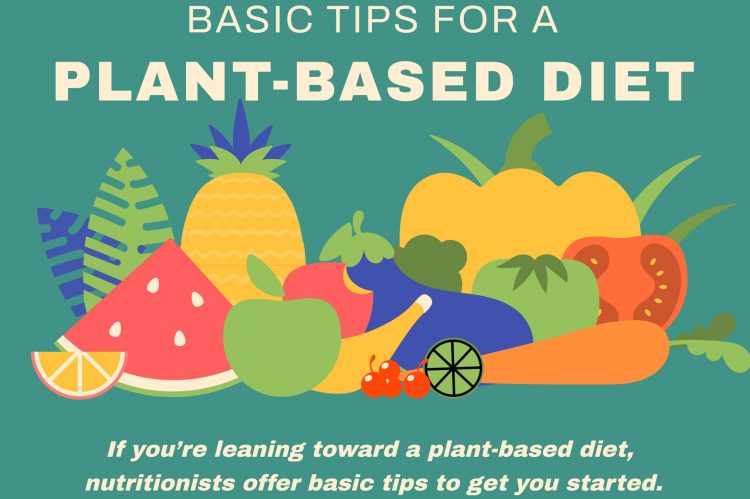Basic Tips for a Plant-Based Diet