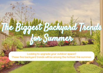 The Biggest Backyard Trends for Summer