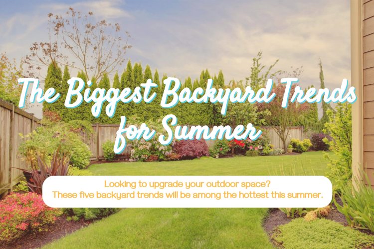 The Biggest Backyard Trends for Summer