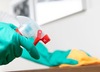 5 Professional Home-Cleaning Secrets