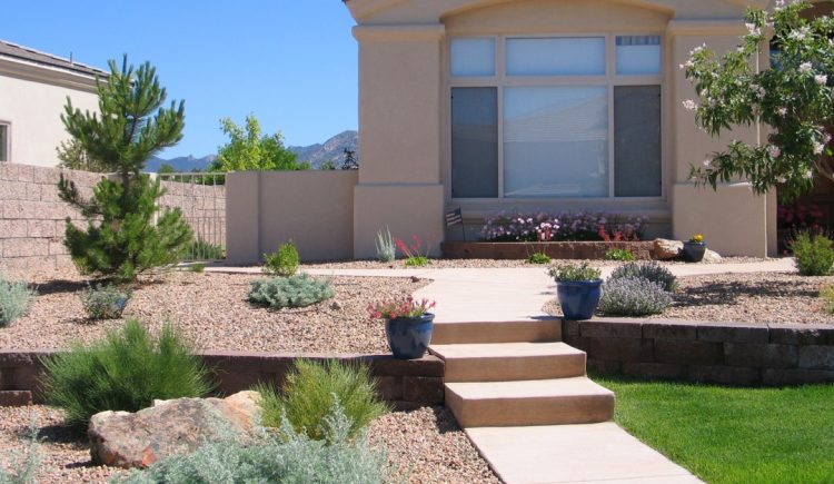 5 Considerations When Thinking About Xeriscaping