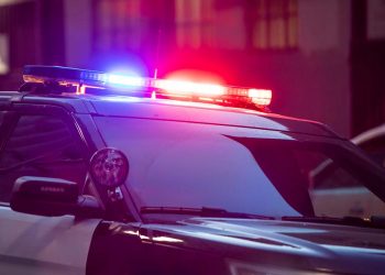 Predators: The True Nature of Crimes Against REALTORS®