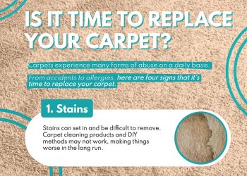 Is It Time to Replace Your Carpet?