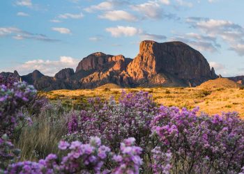 Mountain Peaks and Tumbleweeds: Real Estate in Frontierland, USA