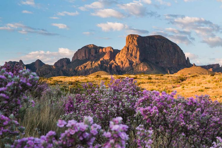 Mountain Peaks and Tumbleweeds: Real Estate in Frontierland, USA