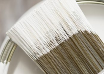 Best White Paint Colors for Every Home