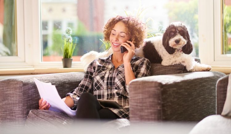 Why You Should Notify Your Homeowners Insurance Company If You Get a Dog