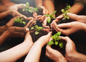 Realty ONE Group Announces ‘Record-Breaking’ Growth