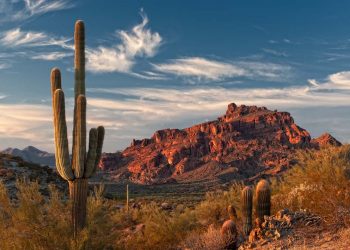 RE/MAX Offices Partner in Northern Arizona