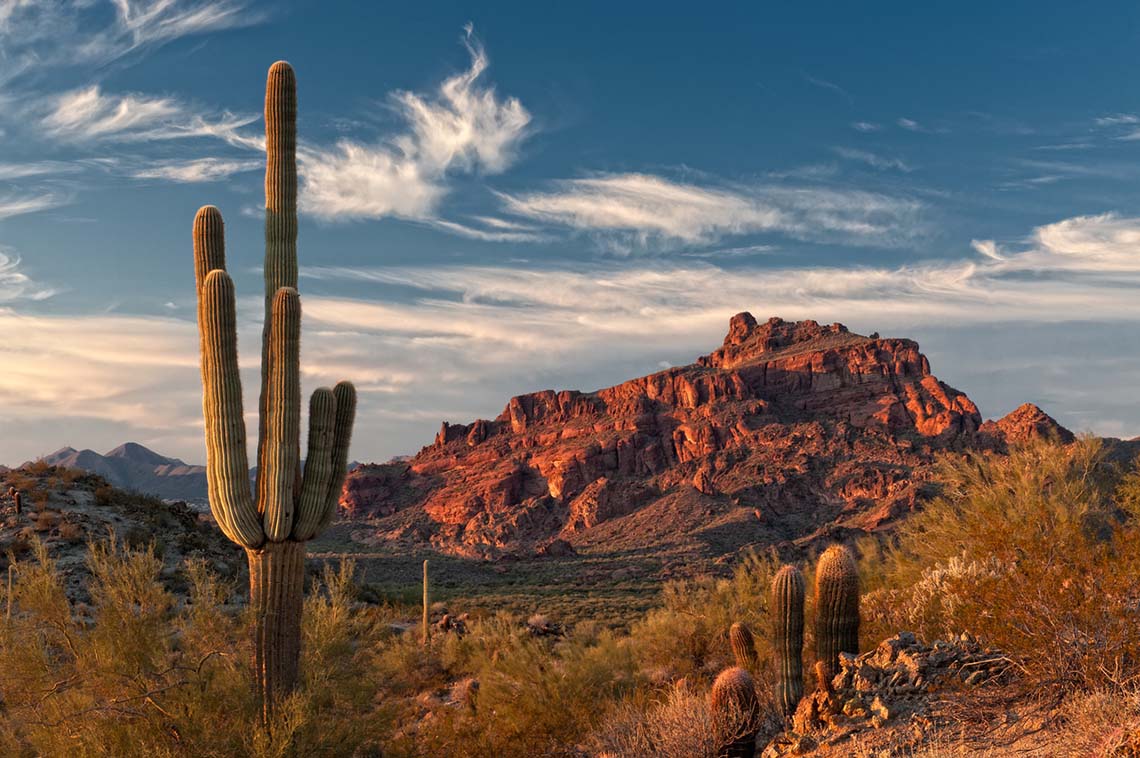 RE/MAX Offices Partner in Northern Arizona - Vimarsana News