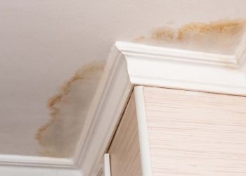 Water Damage: How to Lessen the Threat