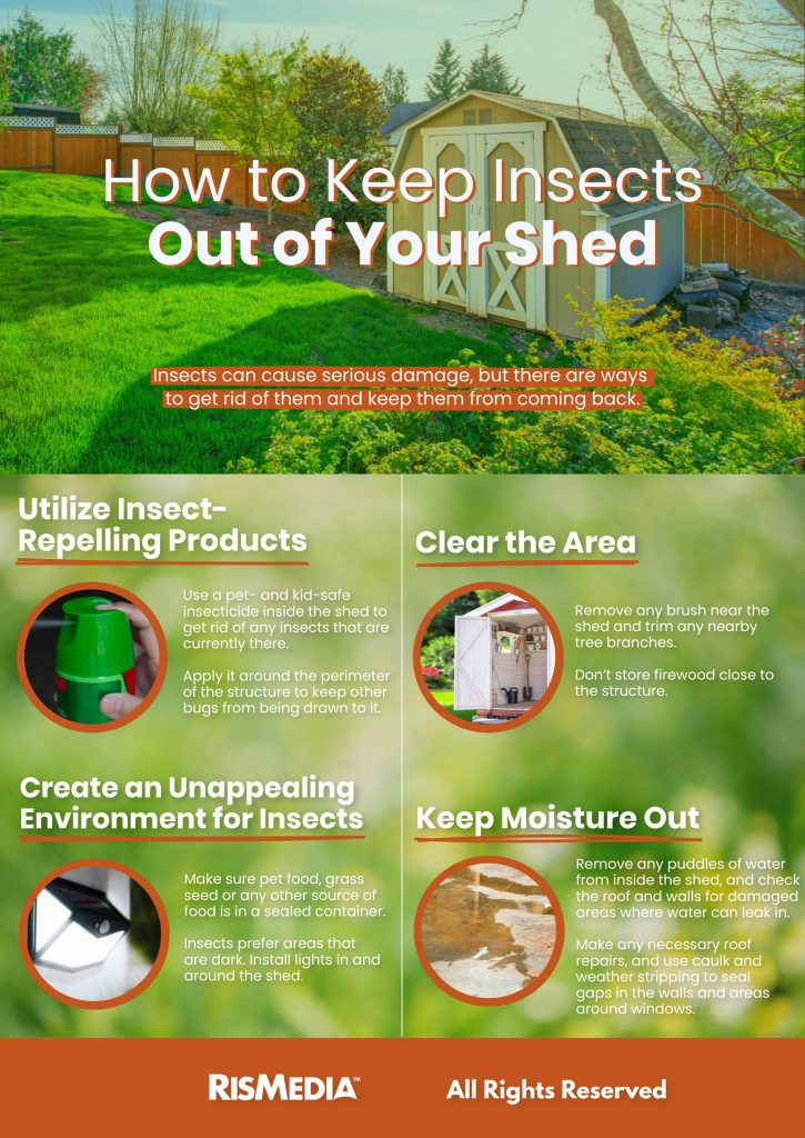 How to Keep Insects Out of Your Shed — RISMedia