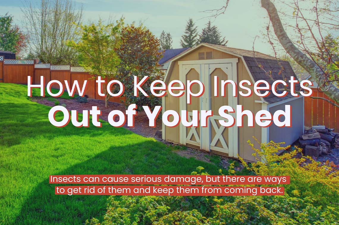 How to Keep Insects Out of Your Shed — RISMedia