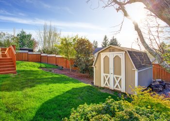 Tips to Keep Your Shed Insect-Free