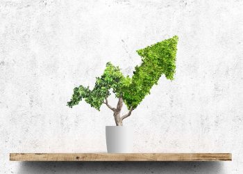 Growing Pains: 6 Winning Behaviors for Massive Team Growth