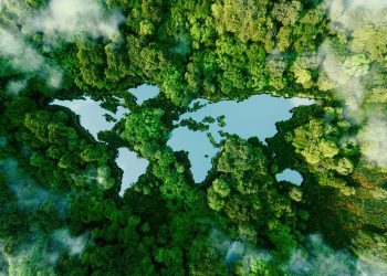 Urban Land Institute Receives $500k Donation to Tackle Climate Change