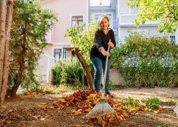 Home Projects to Tackle This Fall