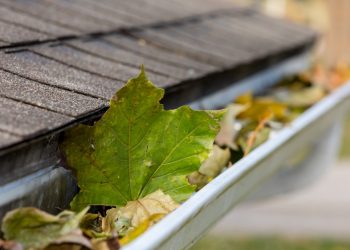 Indoor and Outdoor Cold Season To-Do’s